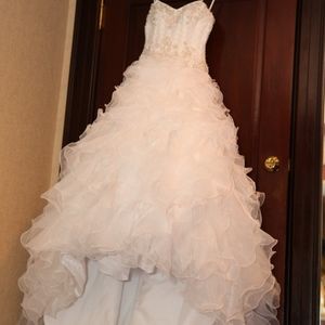 Magnifiicent Wedding Dress